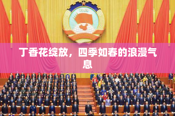 丁香花绽放，四季如春的浪漫气息