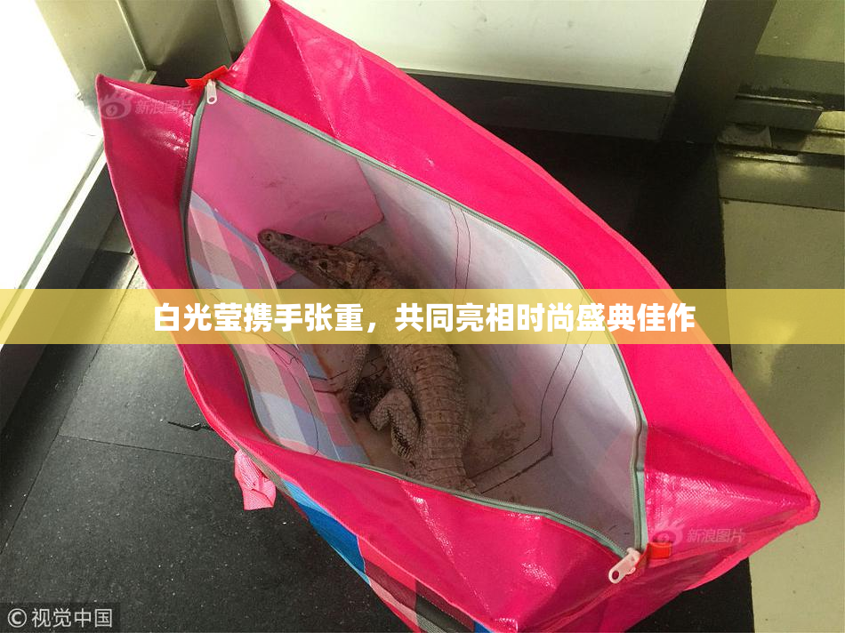 白光莹携手张重，共同亮相时尚盛典佳作