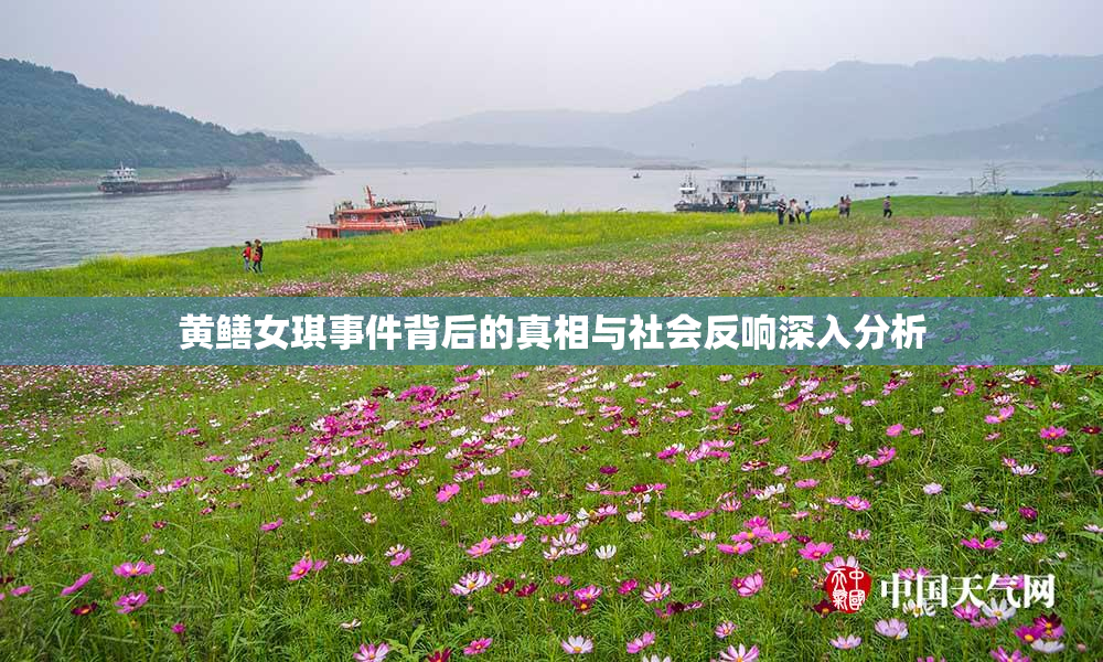黄鳝女琪事件背后的真相与社会反响深入分析