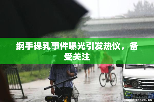 纲手裸乳事件曝光引发热议，备受关注
