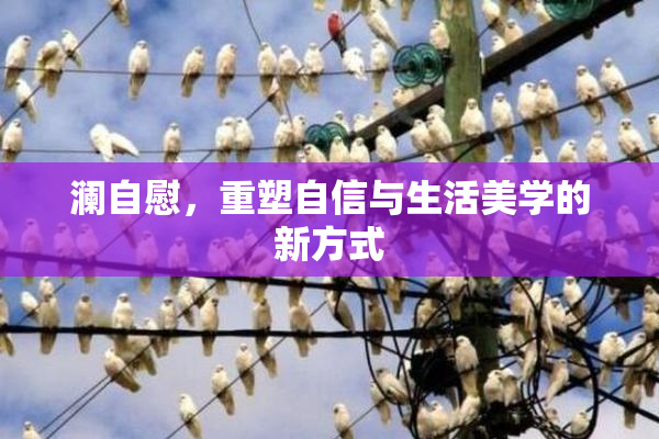 澜自慰，重塑自信与生活美学的新方式