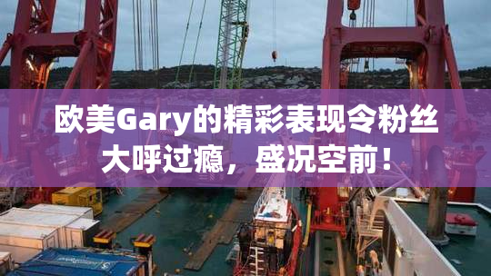 欧美Gary的精彩表现令粉丝大呼过瘾，盛况空前！