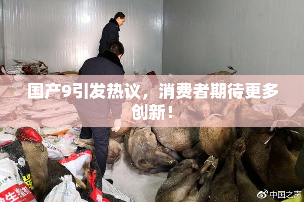 国产9引发热议，消费者期待更多创新！