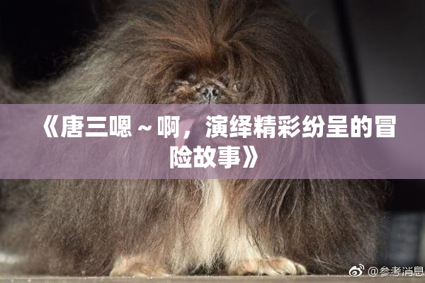 《唐三嗯～啊，演绎精彩纷呈的冒险故事》
