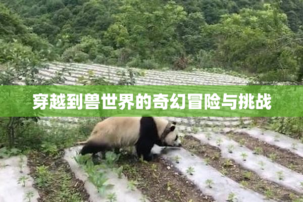 穿越到兽世界的奇幻冒险与挑战