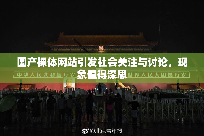 国产裸体网站引发社会关注与讨论，现象值得深思