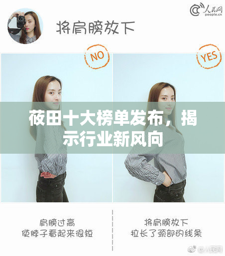 莜田十大榜单发布，揭示行业新风向