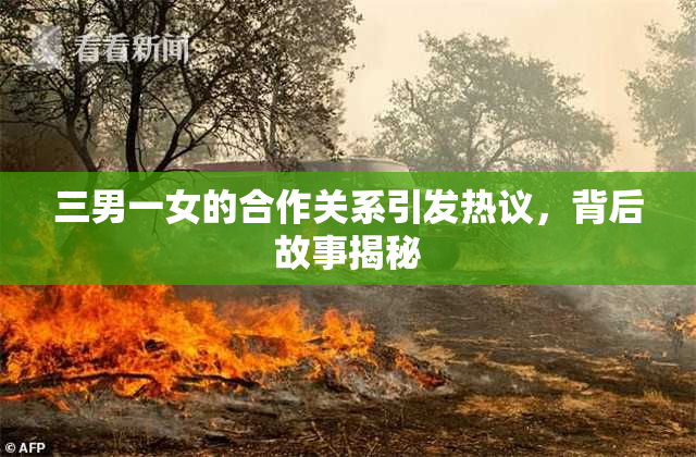 三男一女的合作关系引发热议，背后故事揭秘