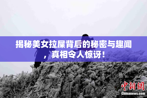 揭秘美女拉屎背后的秘密与趣闻，真相令人惊讶！