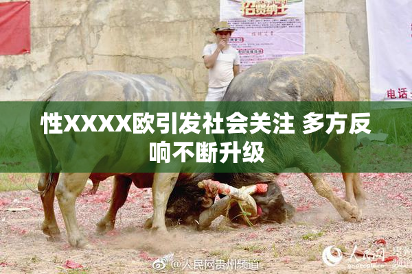 性XXXX欧引发社会关注 多方反响不断升级