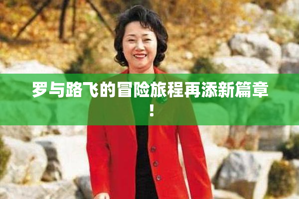 罗与路飞的冒险旅程再添新篇章！