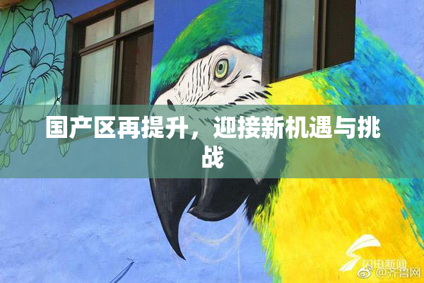 国产区再提升，迎接新机遇与挑战