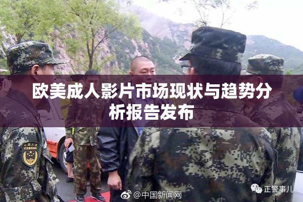 欧美成人影片市场现状与趋势分析报告发布