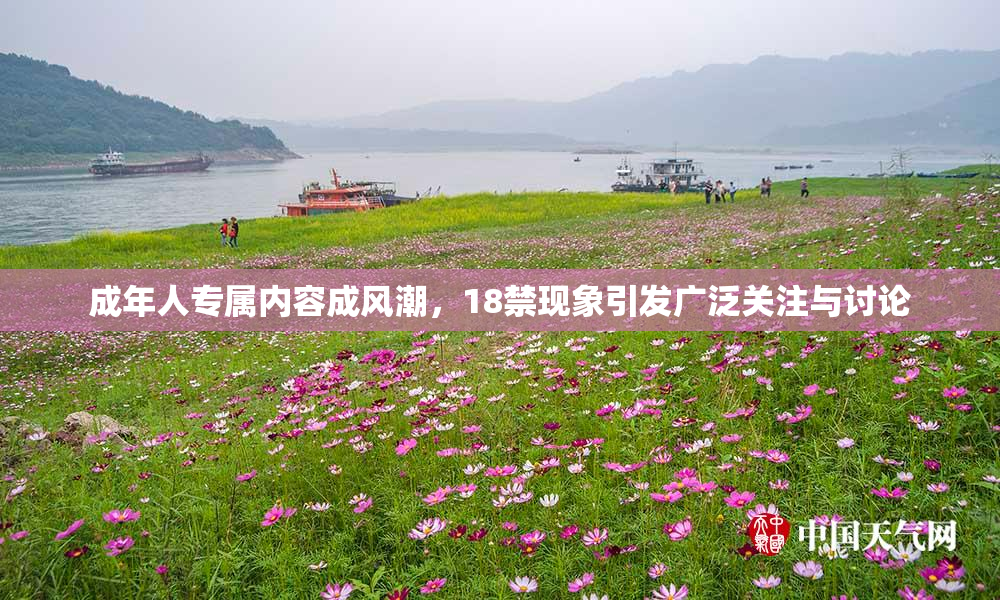 成年人专属内容成风潮，18禁现象引发广泛关注与讨论