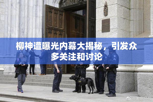 柳神遭曝光内幕大揭秘，引发众多关注和讨论