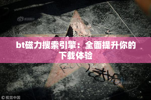 bt磁力搜索引擎：全面提升你的下载体验