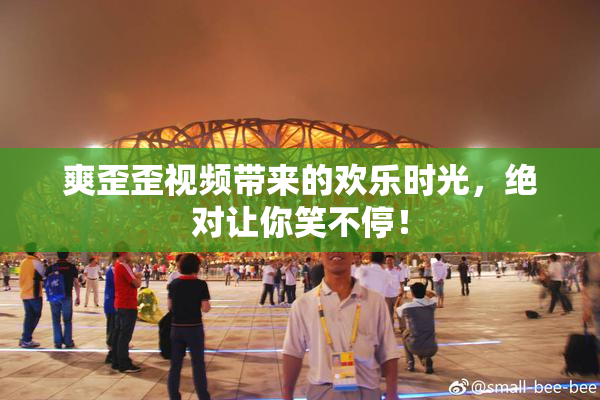 爽歪歪视频带来的欢乐时光，绝对让你笑不停！
