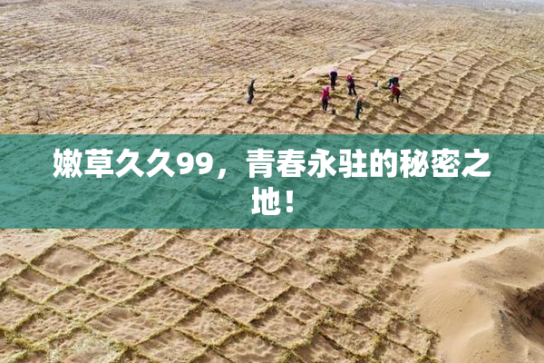 嫩草久久99，青春永驻的秘密之地！