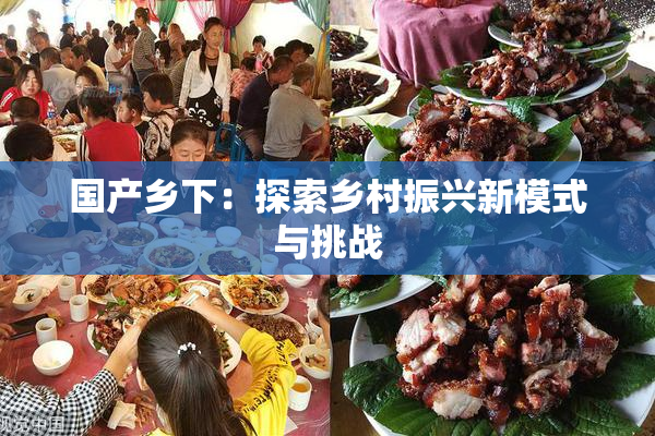 国产乡下：探索乡村振兴新模式与挑战