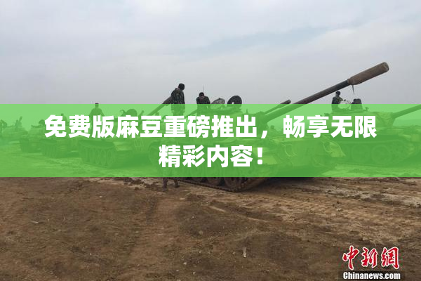 免费版麻豆重磅推出，畅享无限精彩内容！