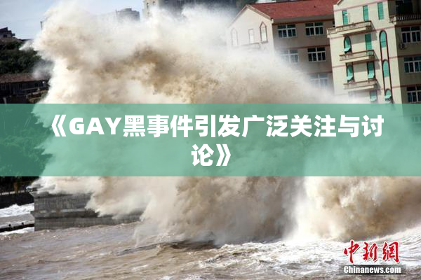 《GAY黑事件引发广泛关注与讨论》