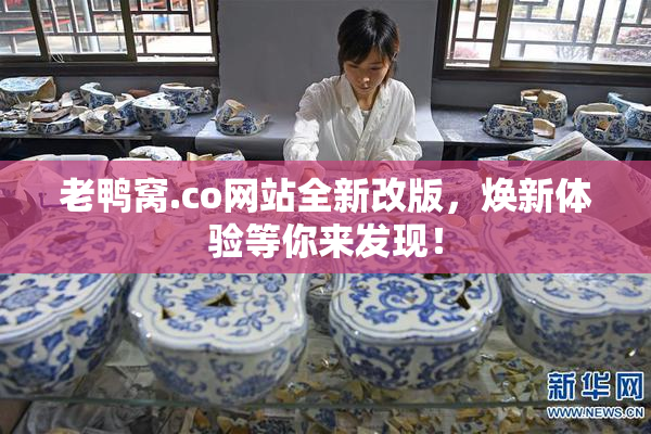 老鸭窝.co网站全新改版，焕新体验等你来发现！