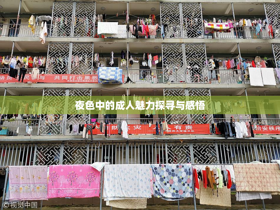 夜色中的成人魅力探寻与感悟