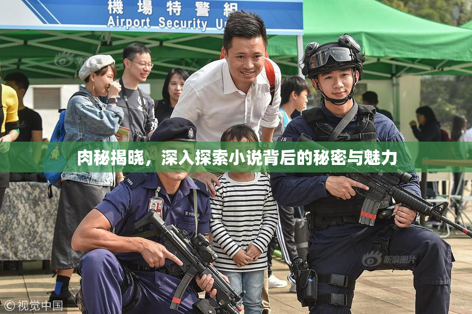 肉秘揭晓，深入探索小说背后的秘密与魅力