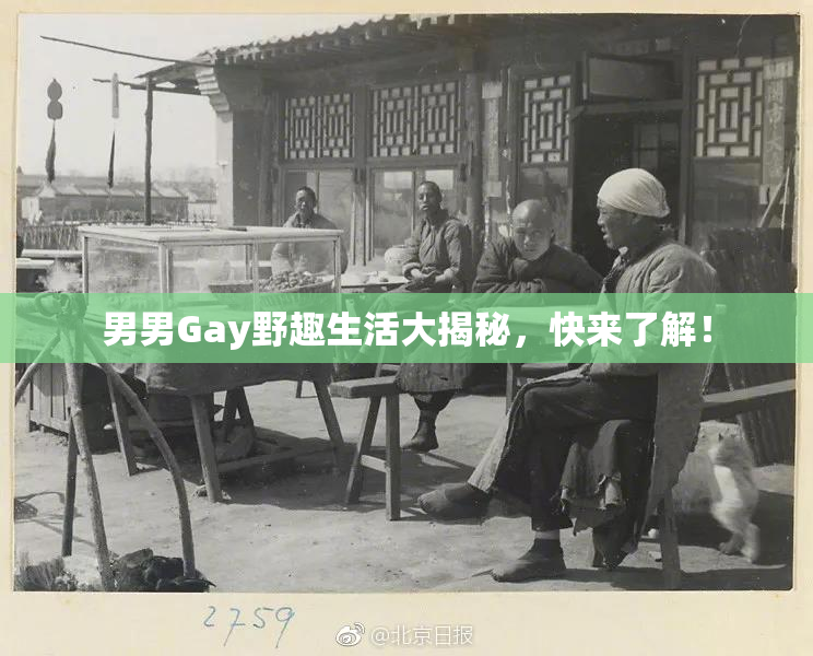 男男Gay野趣生活大揭秘，快来了解！
