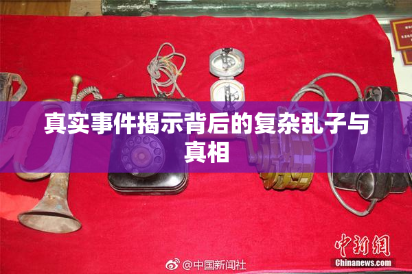真实事件揭示背后的复杂乱子与真相