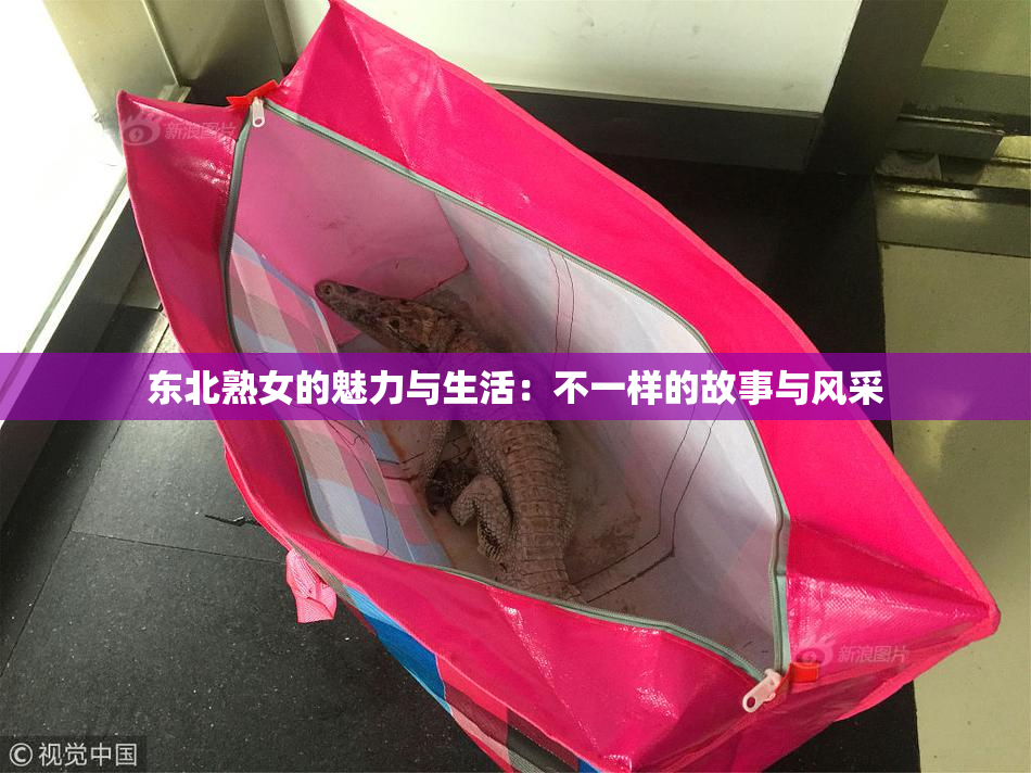 东北熟女的魅力与生活：不一样的故事与风采