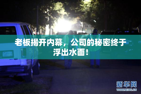 老板揭开内幕，公司的秘密终于浮出水面！
