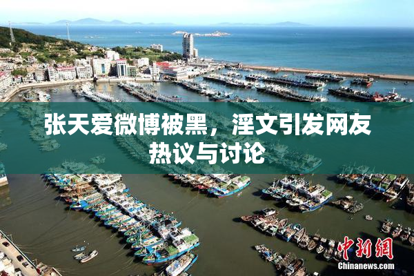 张天爱微博被黑，淫文引发网友热议与讨论
