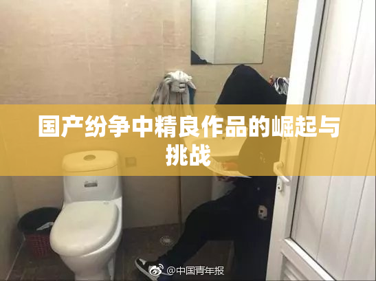 国产纷争中精良作品的崛起与挑战