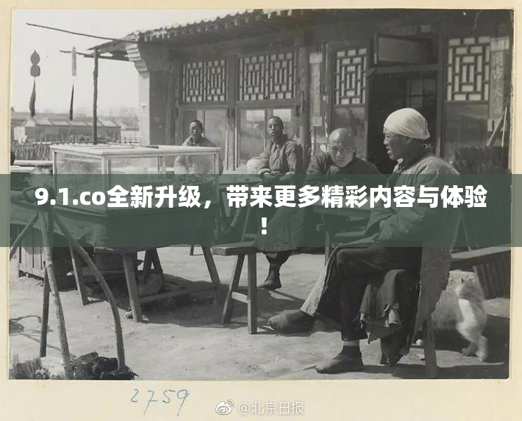 9.1.co全新升级，带来更多精彩内容与体验！