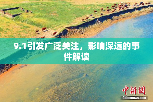 9.1引发广泛关注，影响深远的事件解读