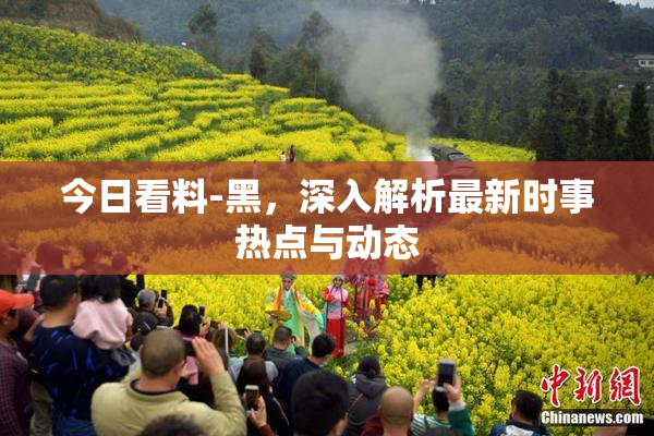 今日看料-黑，深入解析最新时事热点与动态