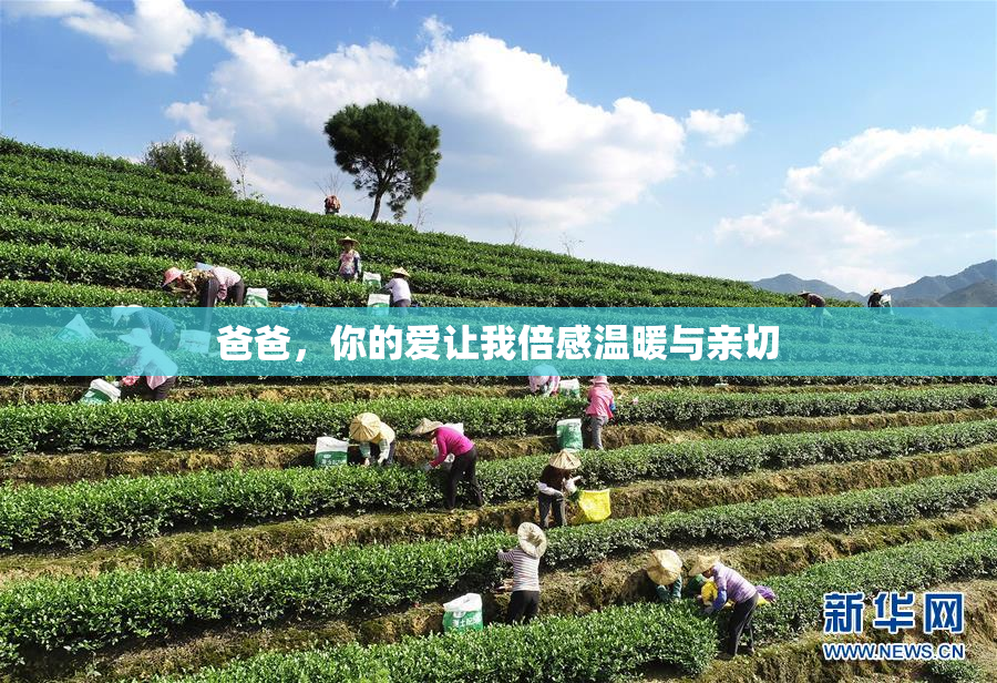 爸爸，你的爱让我倍感温暖与亲切