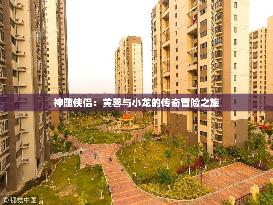 神雕侠侣：黄蓉与小龙的传奇冒险之旅