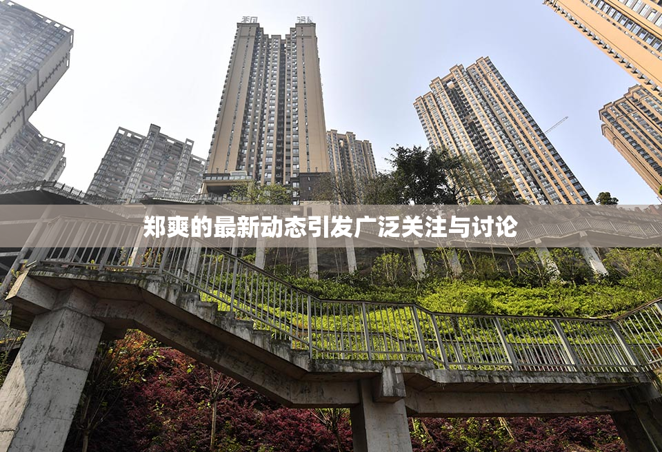 郑爽的最新动态引发广泛关注与讨论