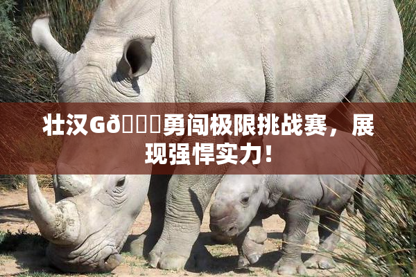 壮汉G🈚勇闯极限挑战赛，展现强悍实力！