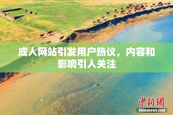 成人网站引发用户热议，内容和影响引人关注