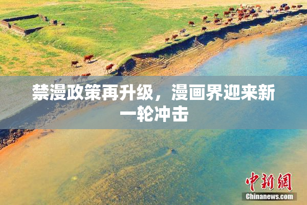 禁漫政策再升级，漫画界迎来新一轮冲击