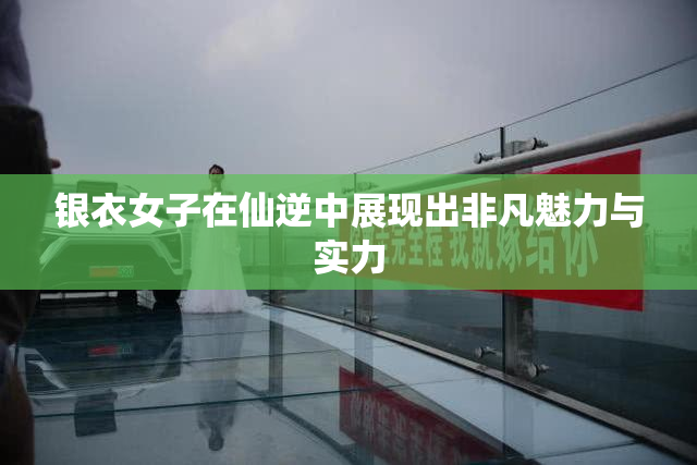 银衣女子在仙逆中展现出非凡魅力与实力