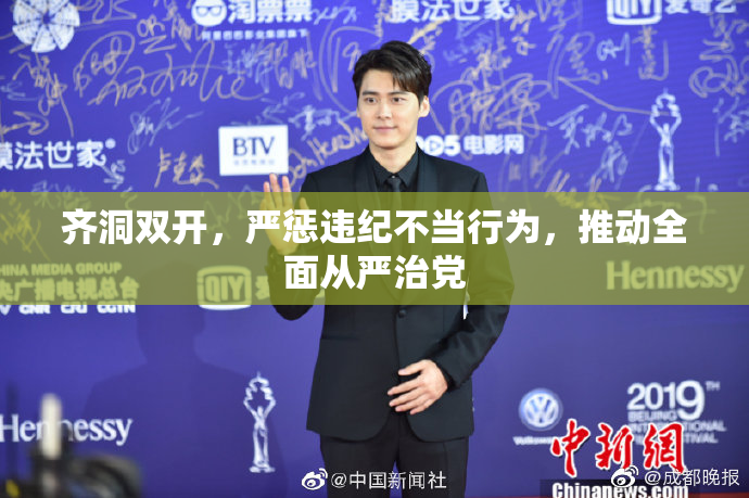 齐洞双开，严惩违纪不当行为，推动全面从严治党