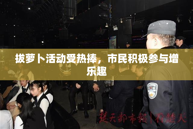 拔萝卜活动受热捧，市民积极参与增乐趣