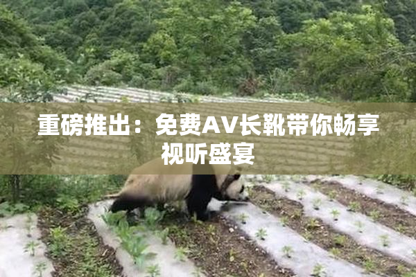 重磅推出：免费AV长靴带你畅享视听盛宴