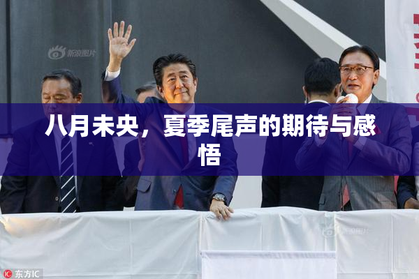 八月未央，夏季尾声的期待与感悟