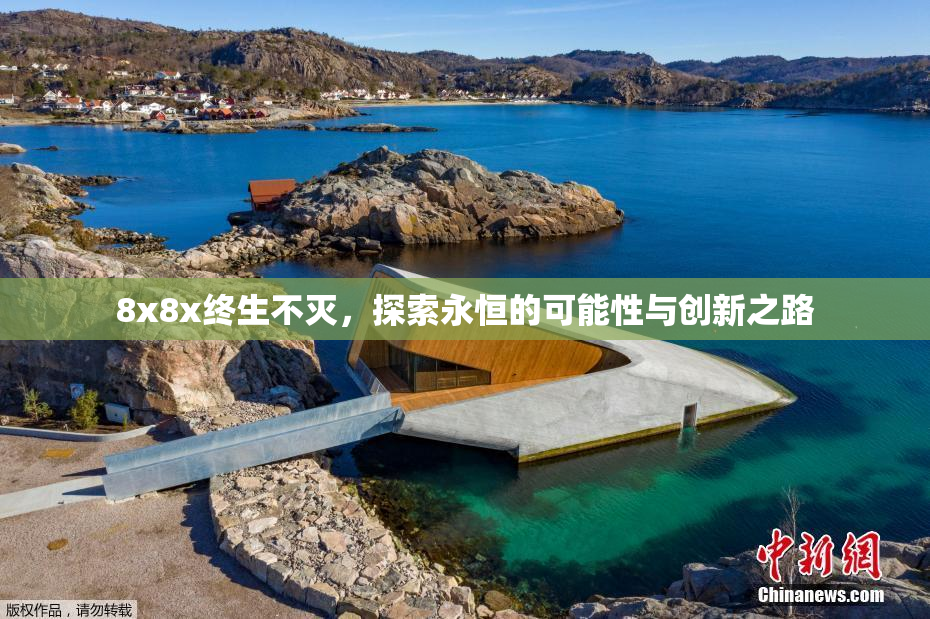 8x8x终生不灭，探索永恒的可能性与创新之路