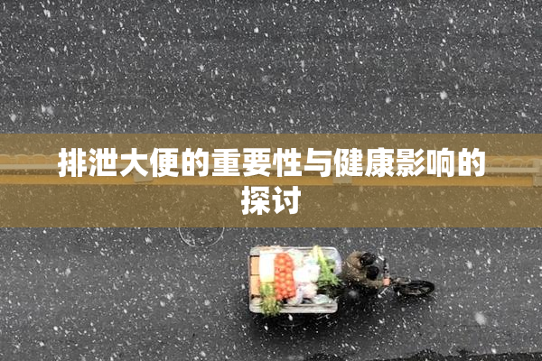 排泄大便的重要性与健康影响的探讨